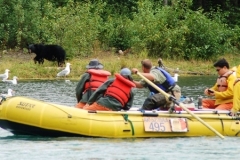 rafting-and-bear-viewing-alaska