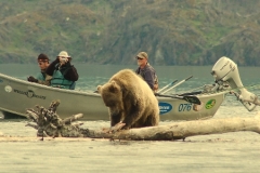 drift boats and brown bear viewing