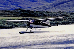 Bush-Planes