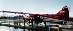 RUSTS-TURBAN-OTTER-ANCHORAGE-ALASKA