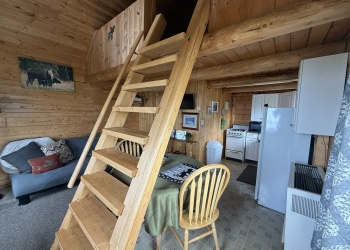 Interior-of-Cabins-2