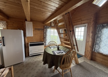 Interior-of-Cabins-4