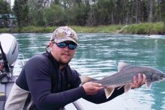 DOLLY-VARDEN-