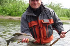 BIG BRISTOL BAY GRAYLING