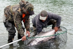 Copy-of-Picture-053-copy