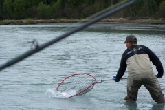 Picture-or-Video-046-copy