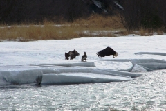 09-april-steed-trip-003-copy