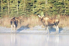MOOSE-SKILAK-LAKE