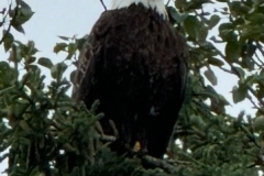 image0-1