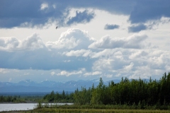 kenai-canyon-2