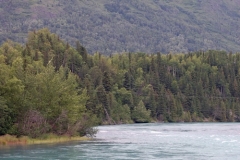 kenai-river-2