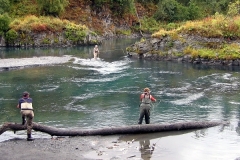 FLOODED-WITH-SILVERS