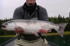 RYANS-KENAI-RIVER-SILVER-SALMON