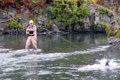 SILVER-SALMON-ACROBATICS