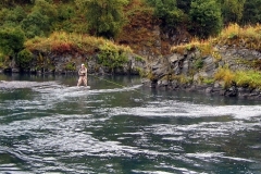 SILVER-SALMON-PARADISE