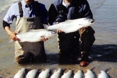 SILVER-SALMON