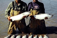LIMIT OF SILVER SALMON