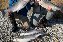 coho