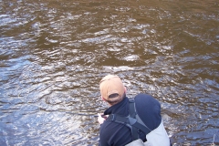 Steelhead