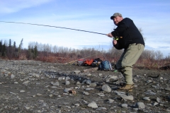 2009-fish-pics-031