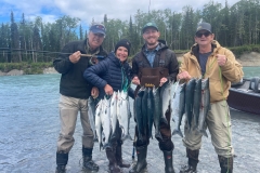 Sockeye