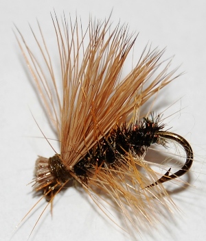 elk-hair-caddis-001