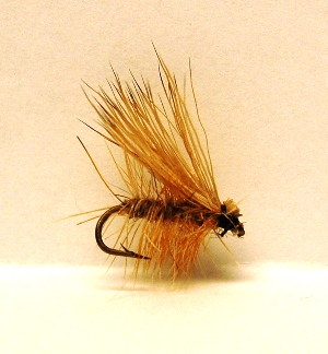 elk-hair-caddis-1