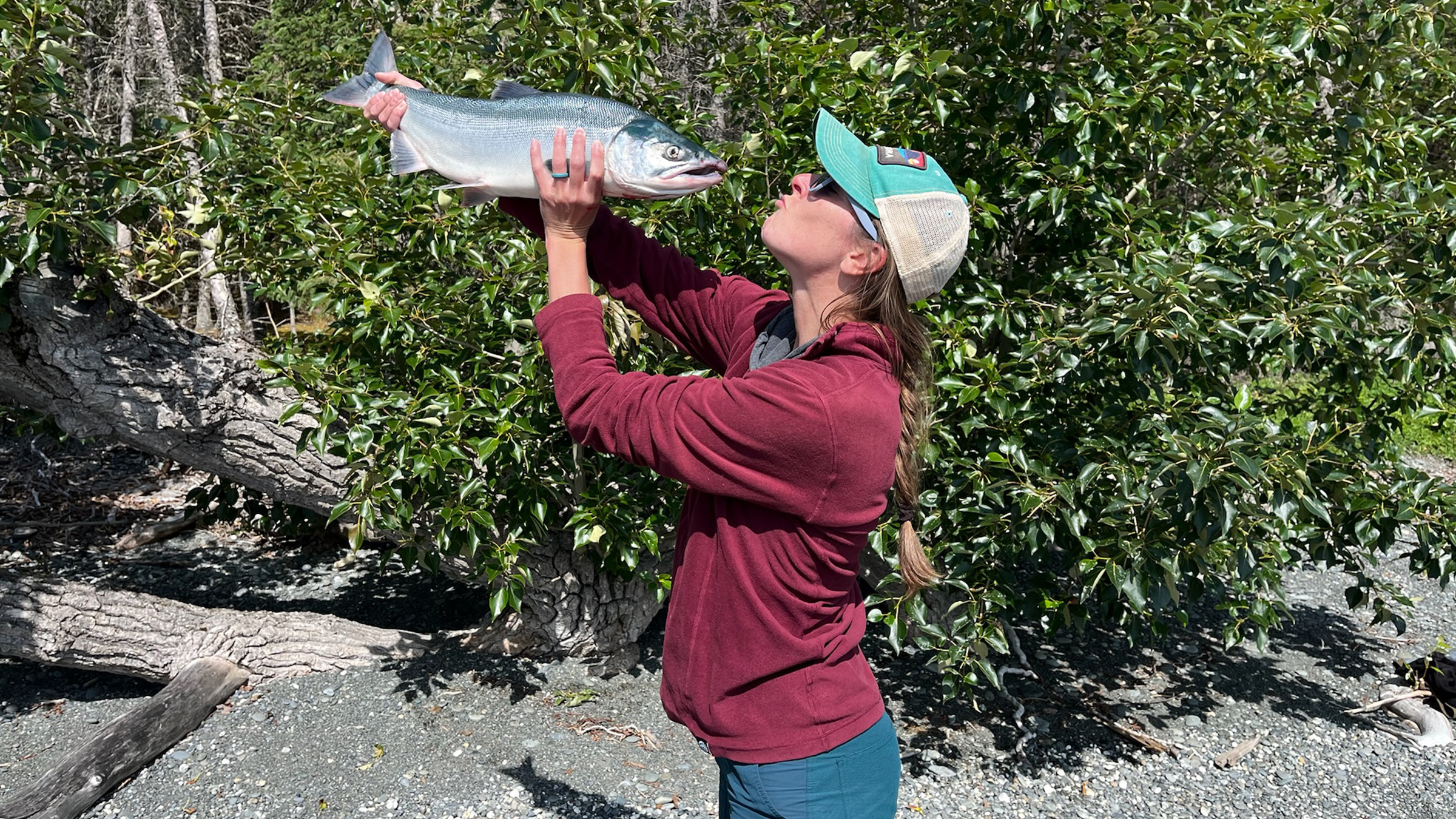 kenai dolly varden fishing